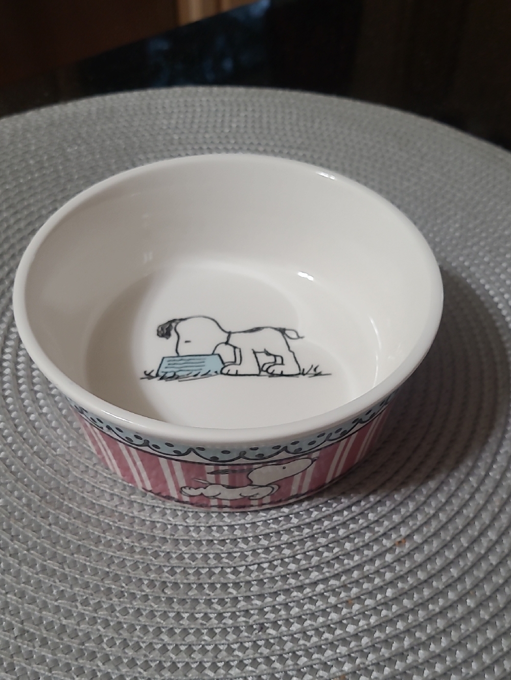 Peanuts Snoopy Pet Bowl